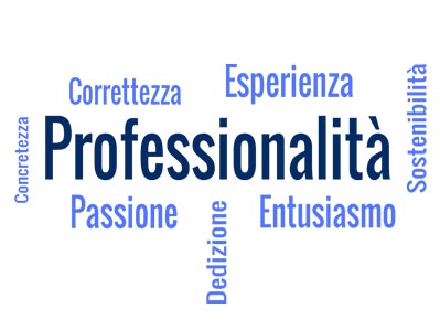 Professionalità